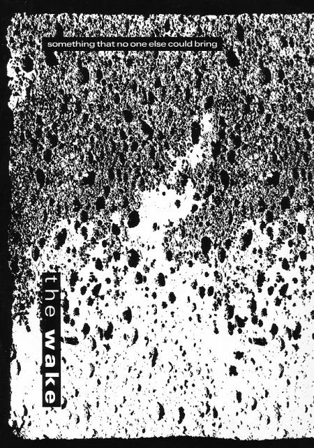 FAC 178 Something That No One Else Could Bring; front cover detail