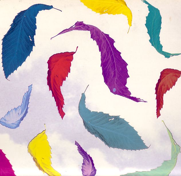 FAC 183r True Faith remix; front cover detail