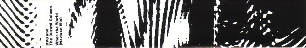 FAC 194 When The World VHS; spine detail