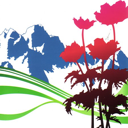 International; front cover detail