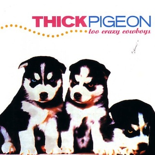 Thick Pigeon