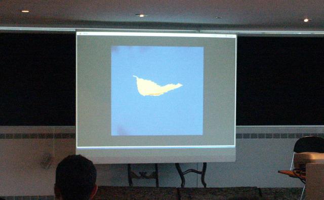 The Peter Saville Talk 2 Sept 2003