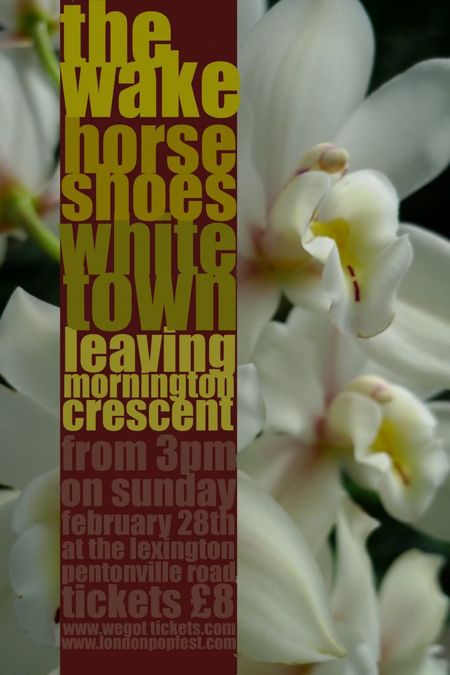 The Wake live at London Popfest 28 Feb 2010; flyer detail