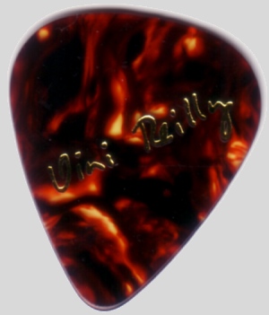 The Durutti Column - The Vini Reilly Plectrum