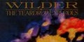 The Teardrop Explodes - Wilder